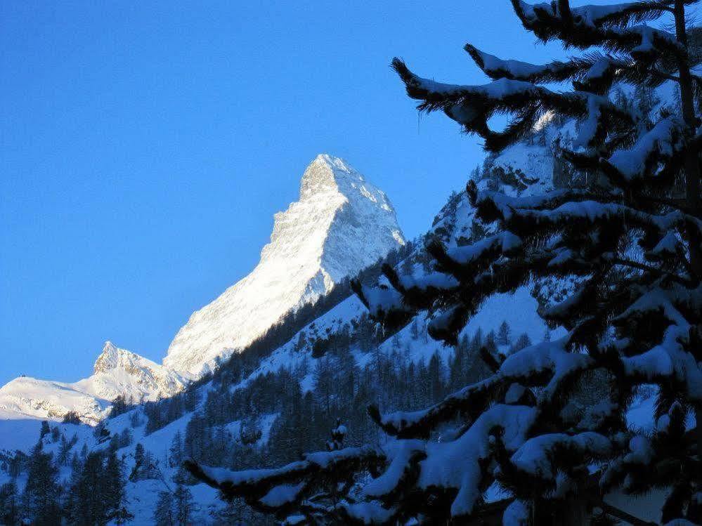 Ambassador Zermatt